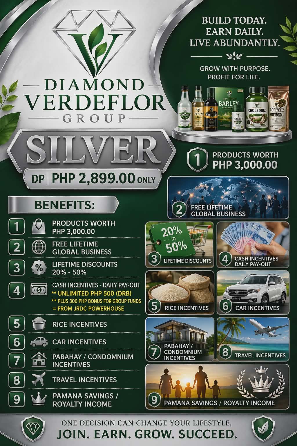 p1 Diamond Verdeflor Group Silver Package